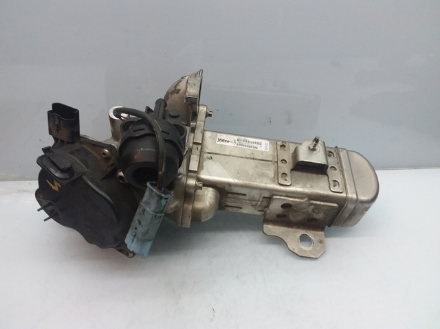 Válvula EGR de recirculação dos gases 9671398180 Peugeot/Citroen