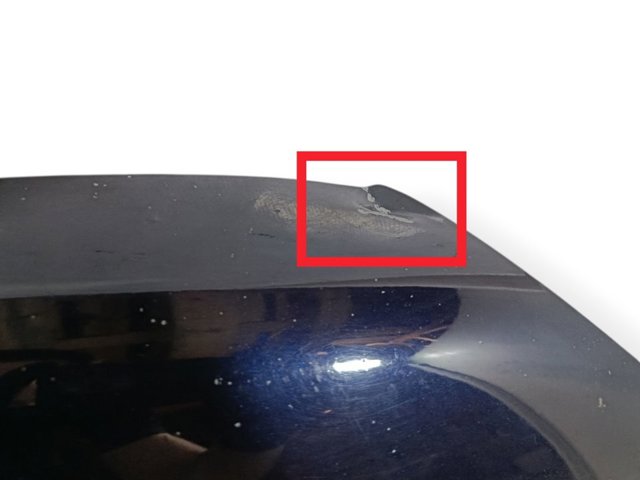 9672998080 Капот купить Полтава