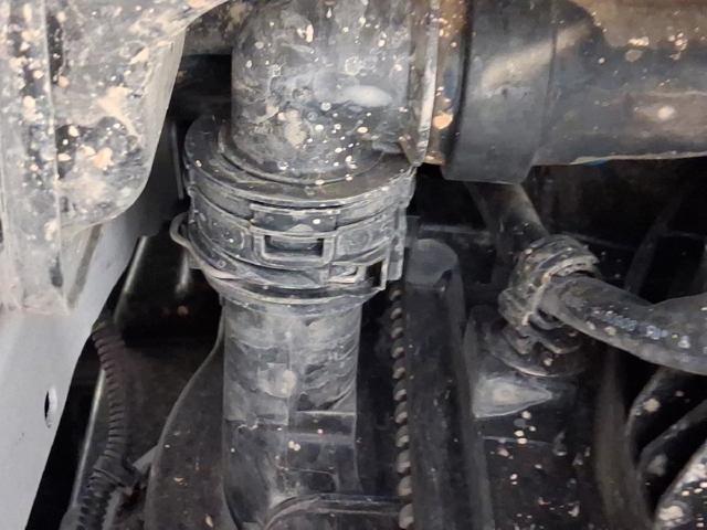 9675747980 FIAT Радиатор охлаждения двигателя купить в Одесса