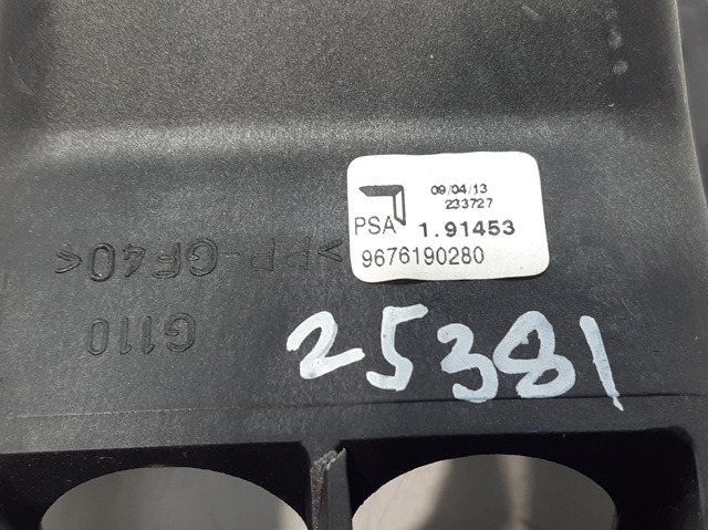 9676190280 Peugeot/Citroen