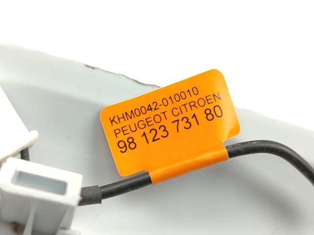 PEUGEOT 96781445PR Плафон салона в наличии Харьков