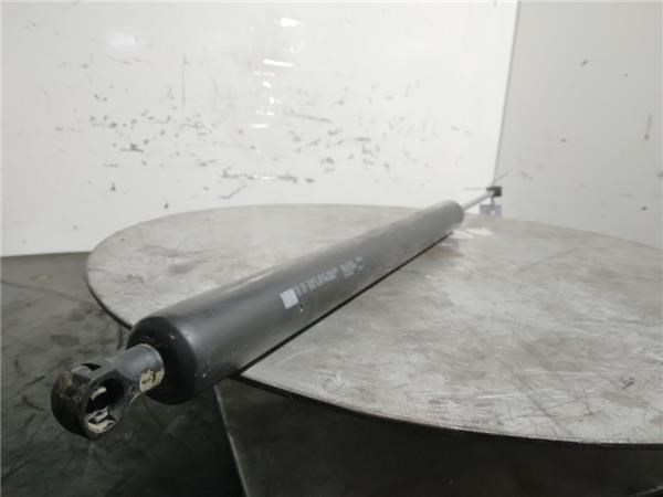 PEUGEOT 9681426980 Амортизатор багажника в наличии Черновцы