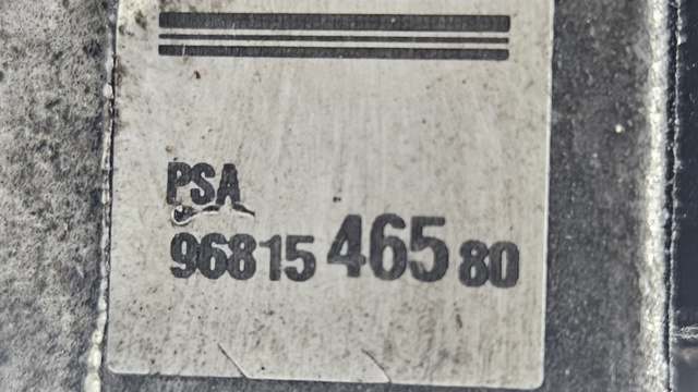 9681546580 PEUGEOT купить в Павлоград