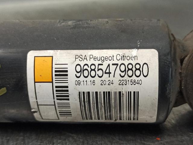 PEUGEOT 9685479880 Амортизатор задний в наличии Киев