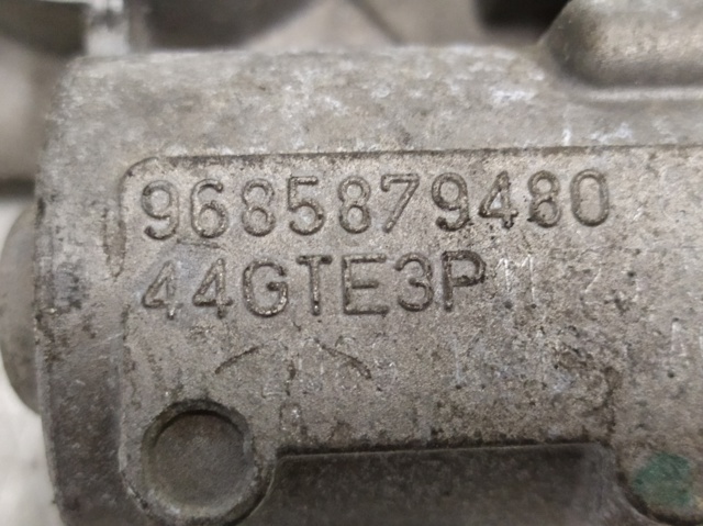9685879480 PEUGEOT Дроссельная заслонка купить в Черновцы