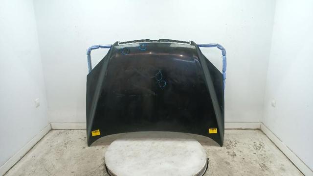 Capota Chevrolet Captiva 1 C100