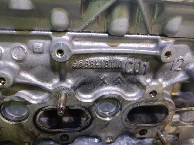 9688418110 Peugeot/Citroen