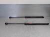 Amortecedor de tampa de porta-malas (de 3ª/5ª porta traseira) 9800717680 PEUGEOT