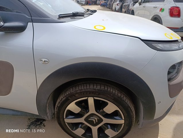 9801112080 Peugeot/Citroen
