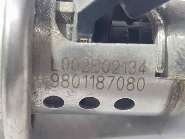 9801187080 PEUGEOT Форсунка впрыска AD BLUE купить в Запорожье
