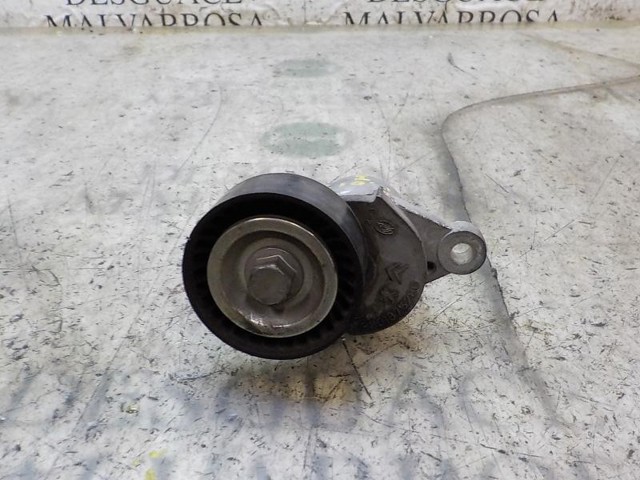 Reguladora de tensão da correia de transmissão 9801875280 PEUGEOT
