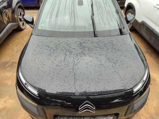 9803651380 Peugeot/Citroen