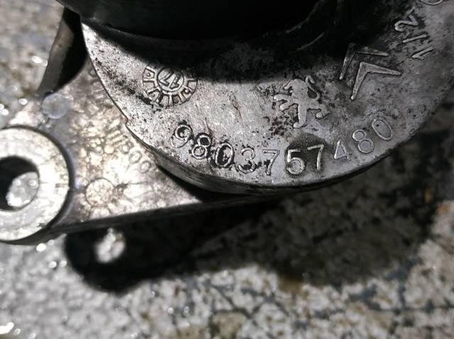 PEUGEOT 9803757480 Натяжитель приводного ремня в наличии Ровно