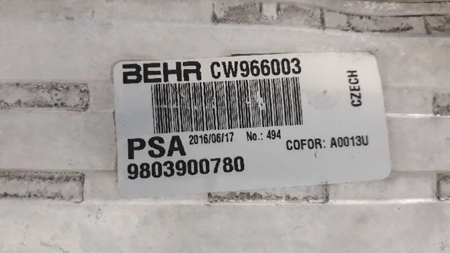 9803900780 PEUGEOT Интеркулер купить в Каменское