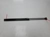 Amortecedor de tampa de porta-malas (de 3ª/5ª porta traseira) 9806879180 PEUGEOT
