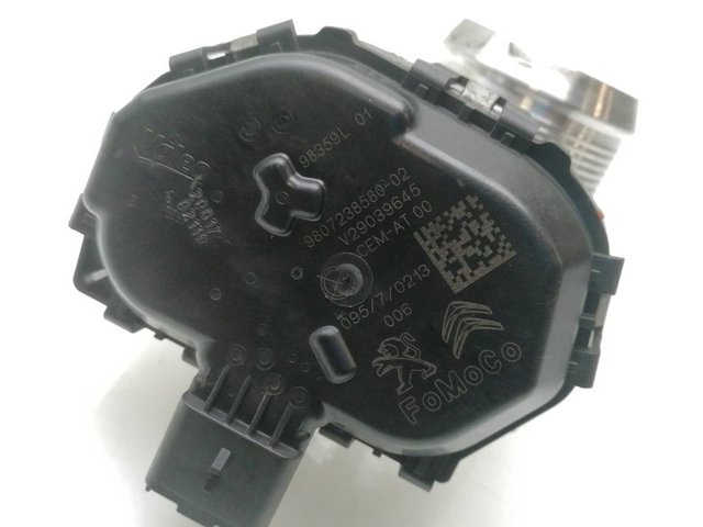 Válvula de borboleta montada Citroen Berlingo K9