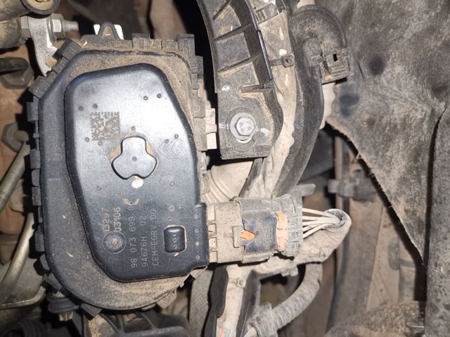 9807369980 Peugeot/Citroen