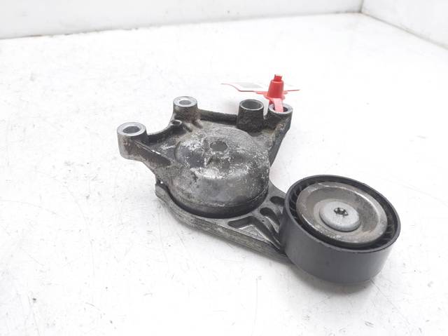 Rolo de reguladora de tensão da correia de transmissão Citroen C3 2R, 2C