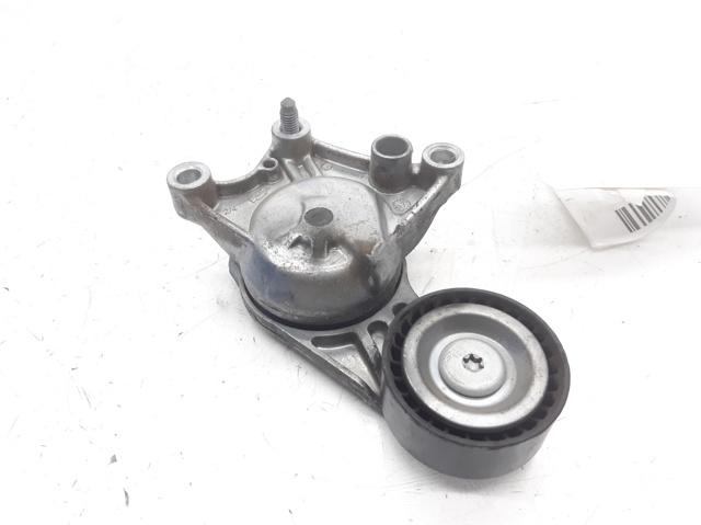 Rolo de reguladora de tensão da correia de transmissão Citroen C3 2R, 2C