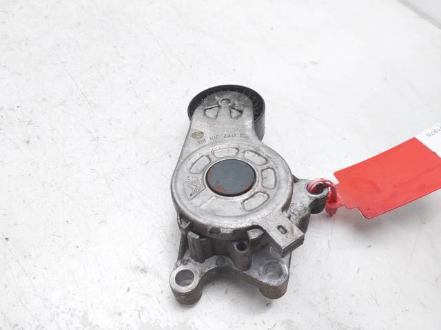Rolo de reguladora de tensão da correia de transmissão Citroen C3 2R, 2C