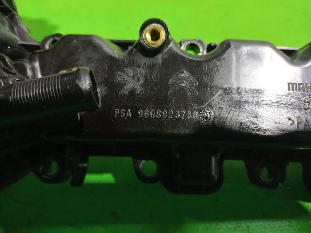 PEUGEOT 9808923780 Крышка клапанная в наличии Ужгород