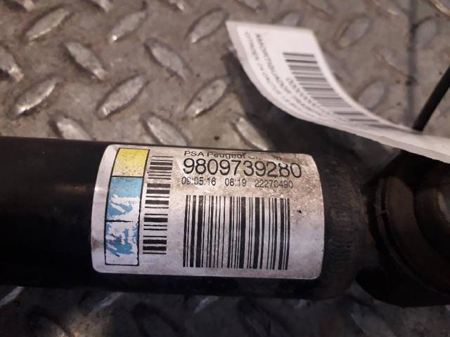 PEUGEOT 9809739280 Амортизатор задний в наличии Тернополь