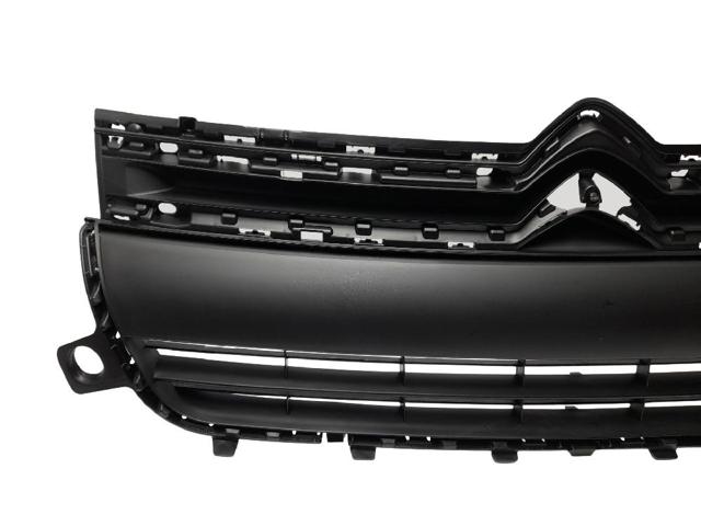 9810963780 Peugeot/Citroen