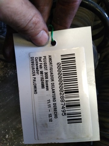 9811524980 Peugeot/Citroen