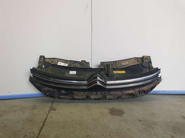 98120634XT PEUGEOT Решетка радиатора купить в Кривой Рог