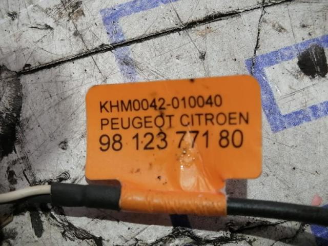 9812377180 Peugeot/Citroen