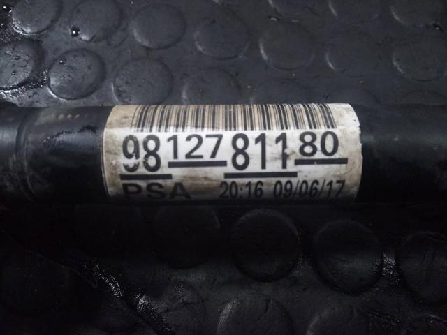 9812781180 PEUGEOT купить в Чернигов