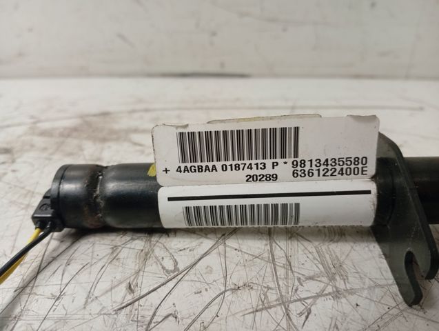 PEUGEOT 9813435580 в наличии Черновцы