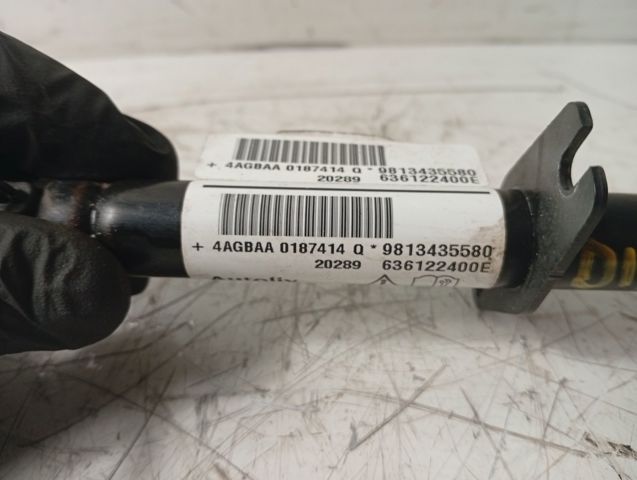 PEUGEOT 9813435580 в наличии Ирпень
