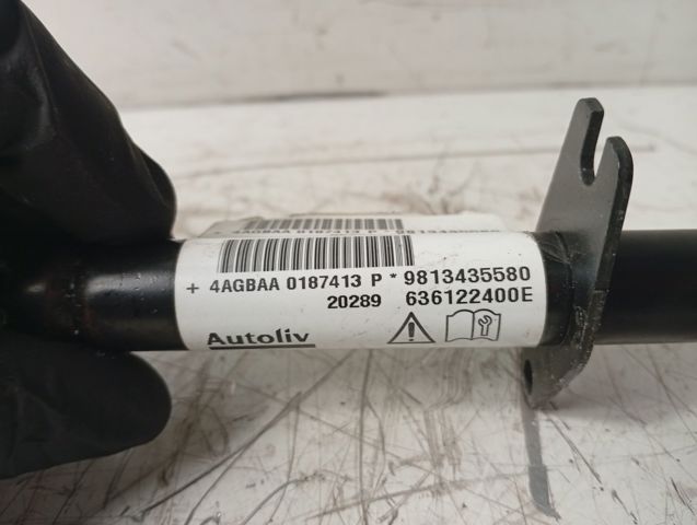 PEUGEOT 9813435580 в наличии Каменское