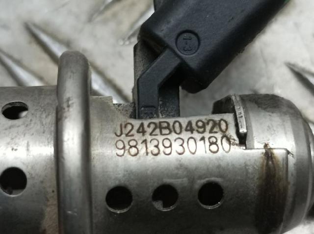 9813930180 PEUGEOT Форсунка впрыска AD BLUE купить в Харьков