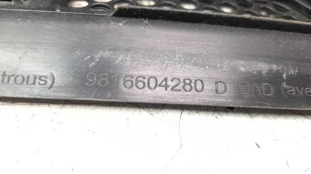9816567880 PEUGEOT купить в Каменское