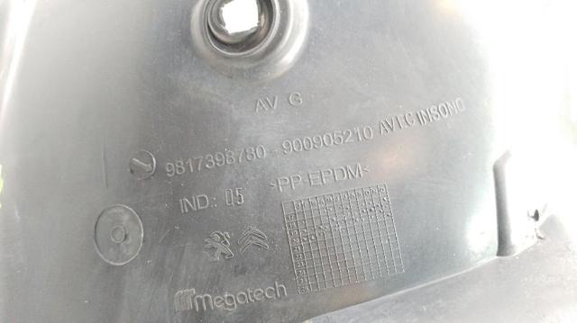 PEUGEOT 9817398580 Подкрылок крыла переднего левый в наличии Павлоград
