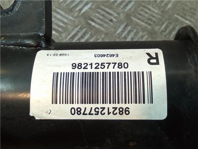 9821257780 PEUGEOT купить в Киев