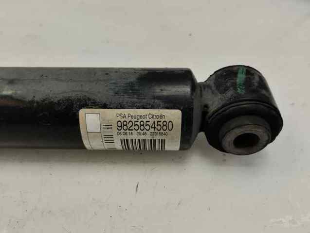 PEUGEOT 9825854580 Амортизатор задний в наличии Тернополь