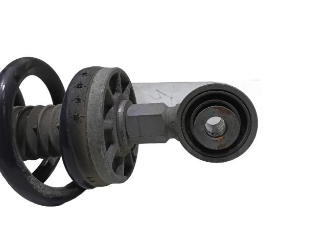 9827882080 Амортизатор задний купить Тернополь