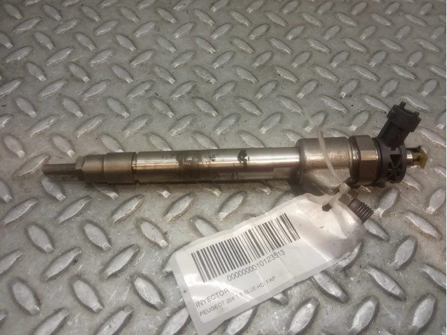 Injector 9828959880