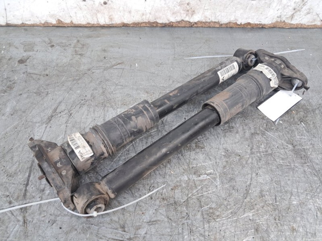 9834826580 PEUGEOT Амортизатор задний купить в Чернигов