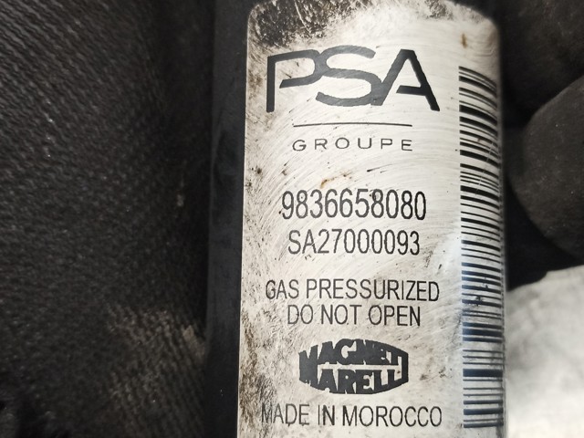 9836658080 PEUGEOT Амортизатор задний купить в Николаев