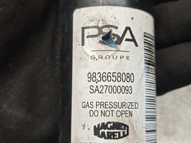 PEUGEOT 9836658080 Амортизатор задний в наличии Тернополь