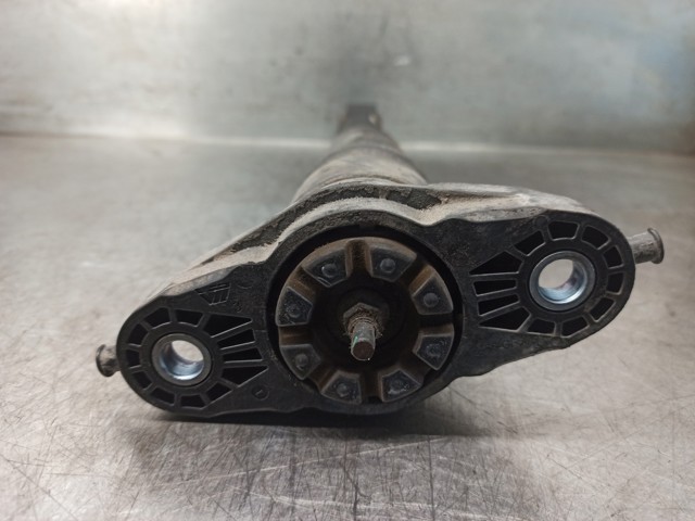 9836658080 PEUGEOT Амортизатор задний купить в Житомир