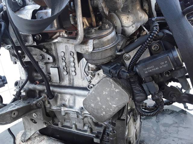 9HC PEUGEOT Двигатель в сборе купить в Ужгород