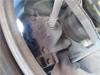 Suporte do freio traseiro esquerdo A001420508364 MERCEDES