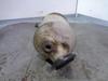 A1644905114 Mercedes