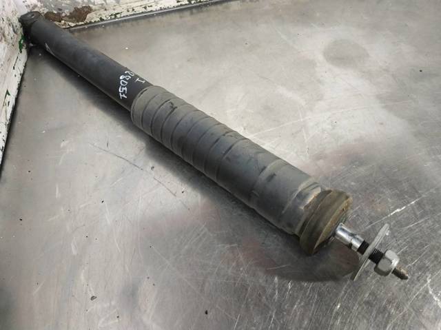 A1693260700 Амортизатор задний купить Черновцы