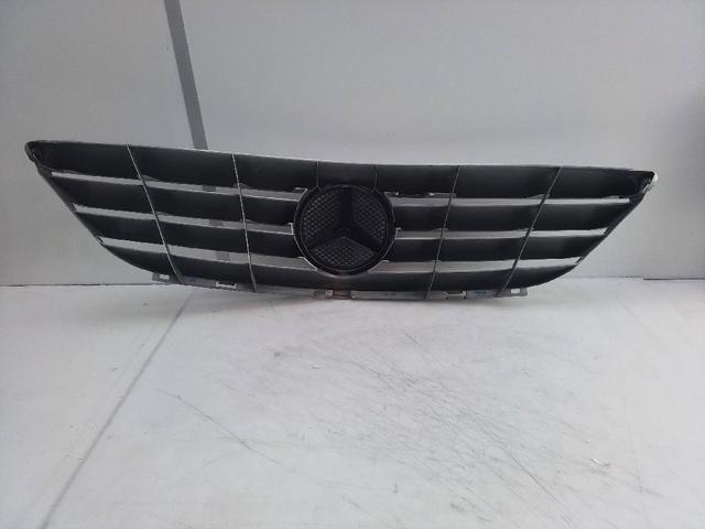 Grelha do radiador A1698800183 Mercedes